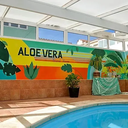 Aloe Vera Shared House فندق