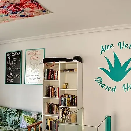 Hotel Aloe Vera Shared House *