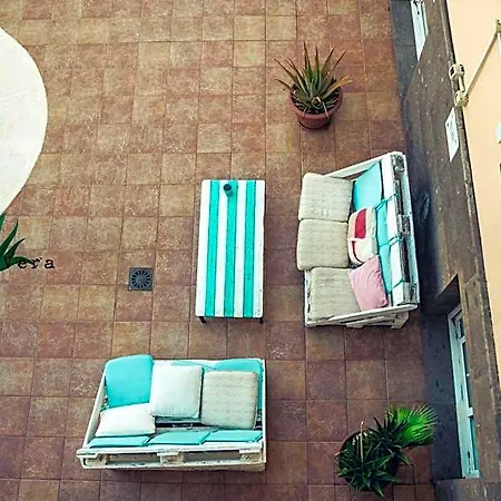 Aloe Vera Shared House فندق *